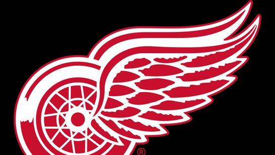 Red Wings Weekly Roundup: Detroit Unable to Pull off Two Comebacks on the Road (nHL News). Photo by Wikipedia